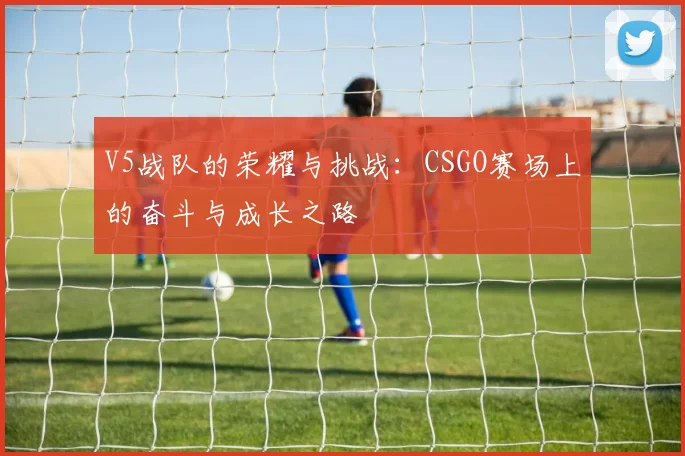 V5战队的荣耀与挑战：CSGO赛场上的奋斗与成长之路
